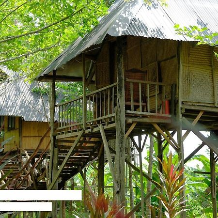 Sunny Field Eco Stilt House Villa Cát Tiên Eksteriør billede