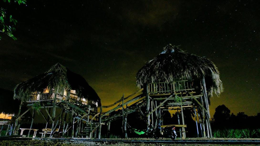 Sunny Field Eco Stilt House Villa Cát Tiên Eksteriør billede