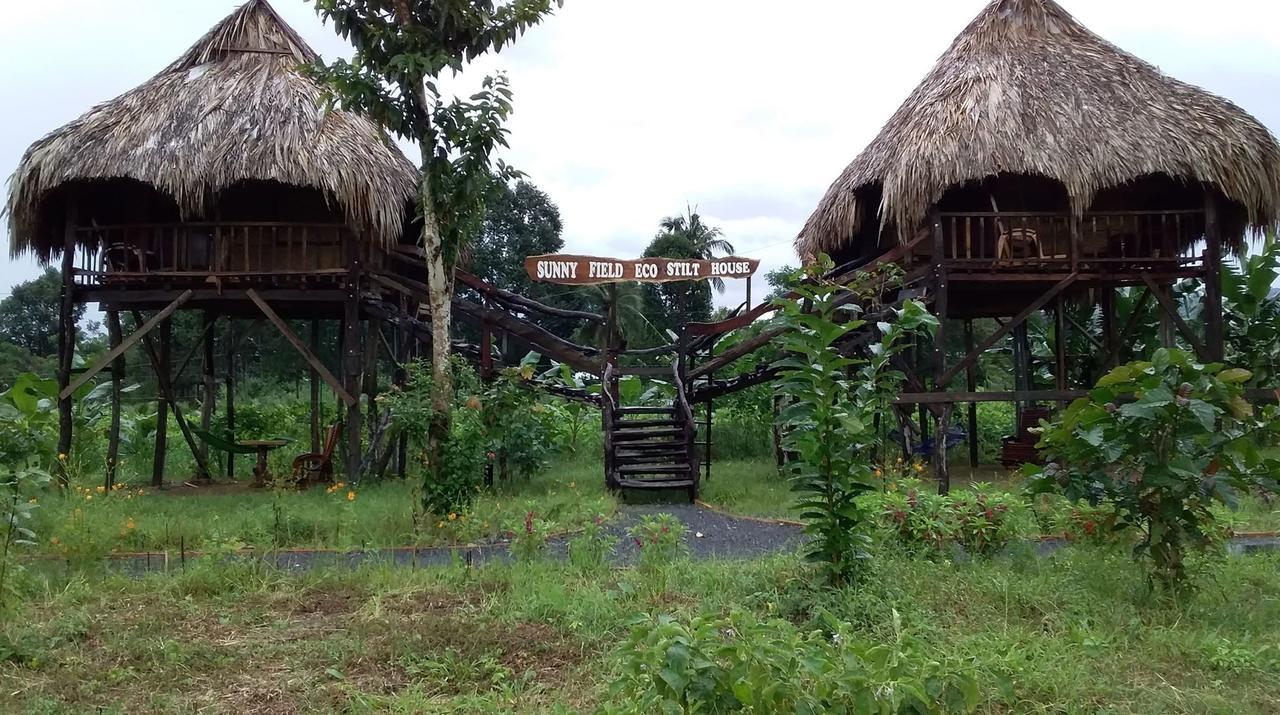 Sunny Field Eco Stilt House Villa Cát Tiên Eksteriør billede