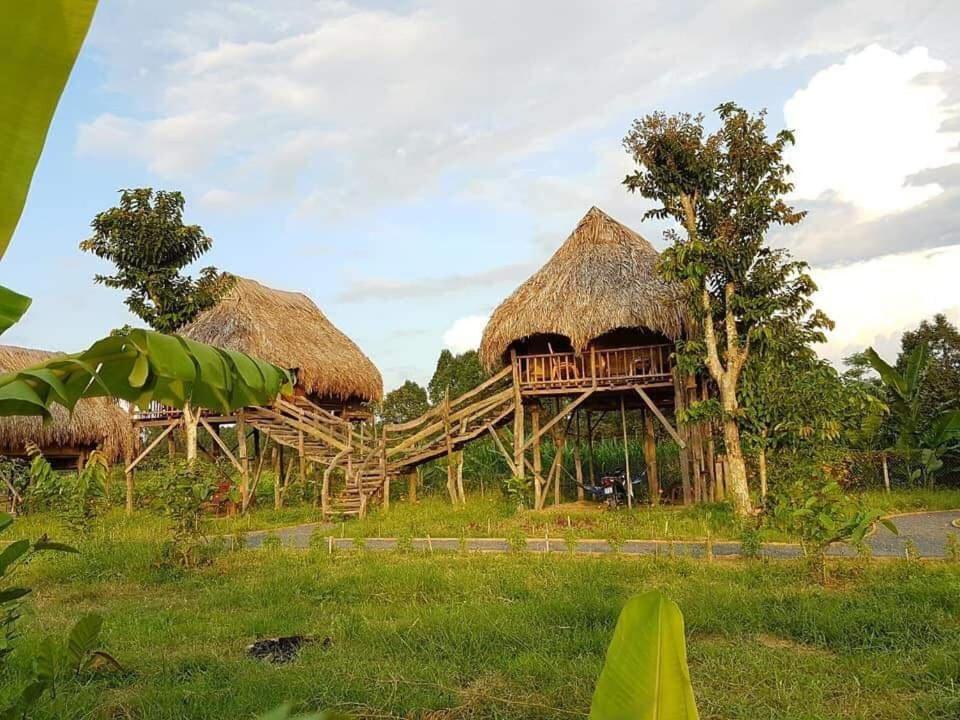 Sunny Field Eco Stilt House Villa Cát Tiên Eksteriør billede