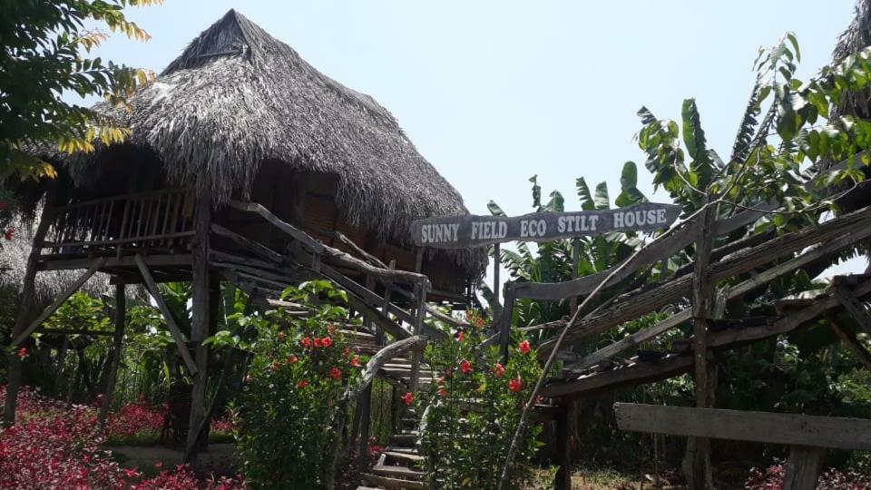 Sunny Field Eco Stilt House Villa Cát Tiên Eksteriør billede