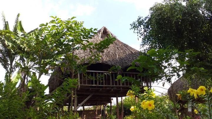 Sunny Field Eco Stilt House Villa Cát Tiên Eksteriør billede